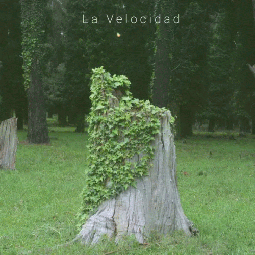 Dos Lugares : La Velocidad